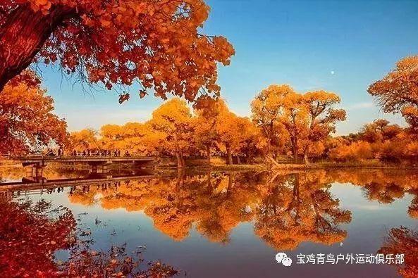 次元喵